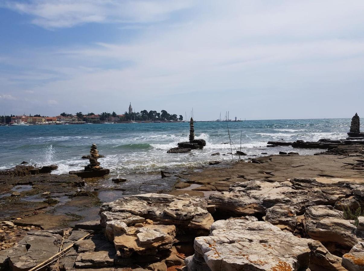 Apartman Tea Novigrad  Luaran gambar